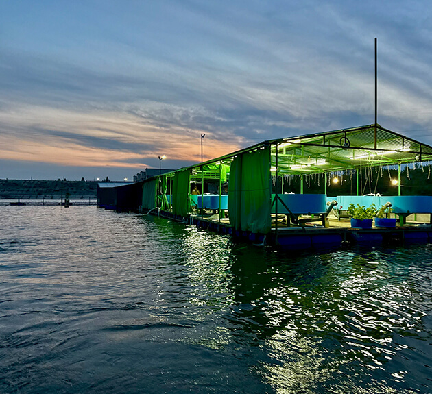 Осетровая ферма