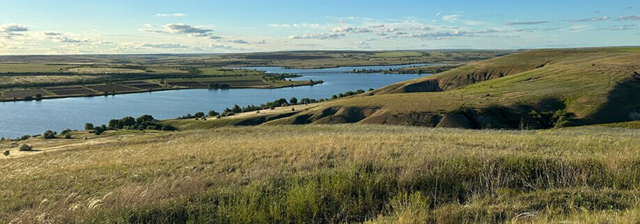 Оленья ферма