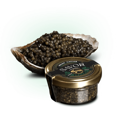 Икра русского осетра
