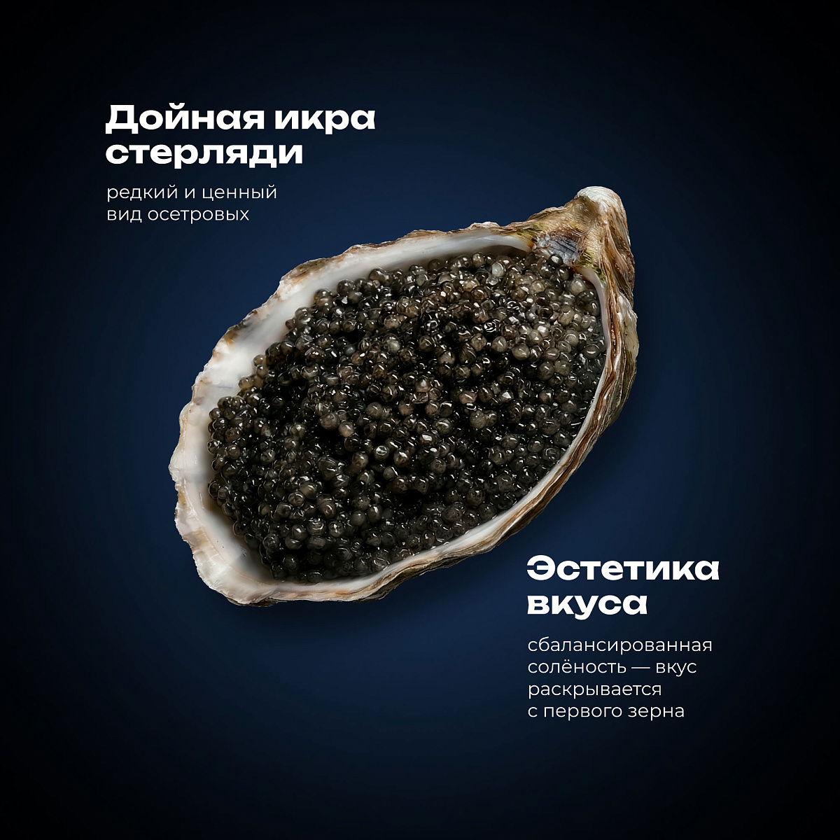 Икра стерляди 20 гр.